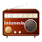 Download Indonesia Radio APK for Windows