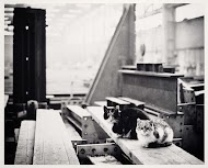 Verlaten bedrijfshal van het staalconstructiebedrijf Nederhorst-De Vries Robbé