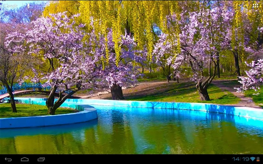 Spring Park Sakura Blossoms HD Screen 3