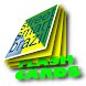 Flashcards - Portuguese, Set 2