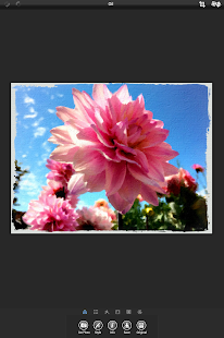 PhotoArtista - Oil - screenshot thumbnail