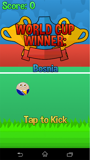 Flappy Cup Winner Bosnia
