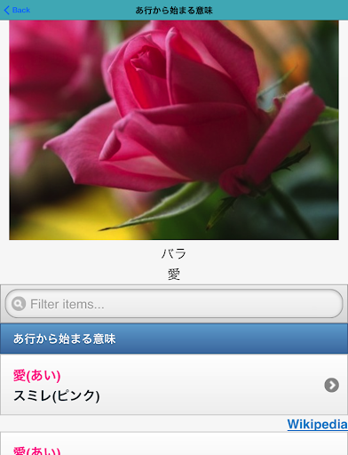 【免費生活App】花言葉と誕生花検索 ハナバナ！占いつき-APP點子