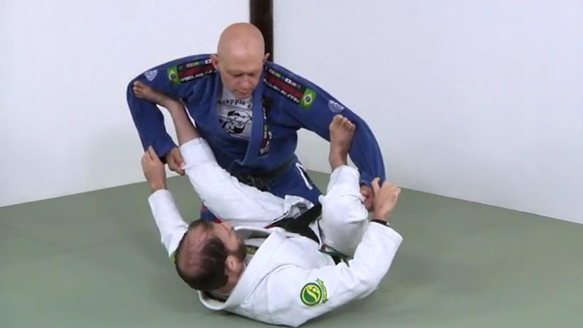 1, Understanding Spider Guard Screen 3