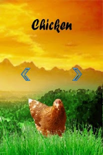 Free Download Animal Sounds Kids Play APK