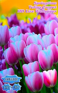 Lastest Springtime Tulips Carpet Bloom APK for PC
