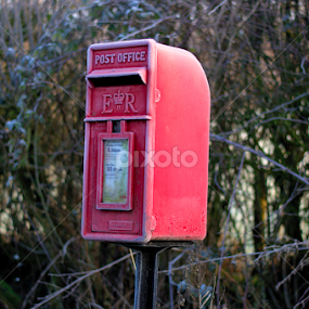 Rural Post Box by Dunstan Vavasour - Artistic Objects Other Objects