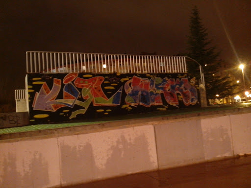 Skate San Martín   