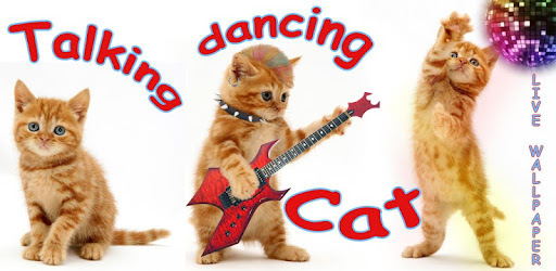 Talking, Dancing Cat. - Apps on Google Play