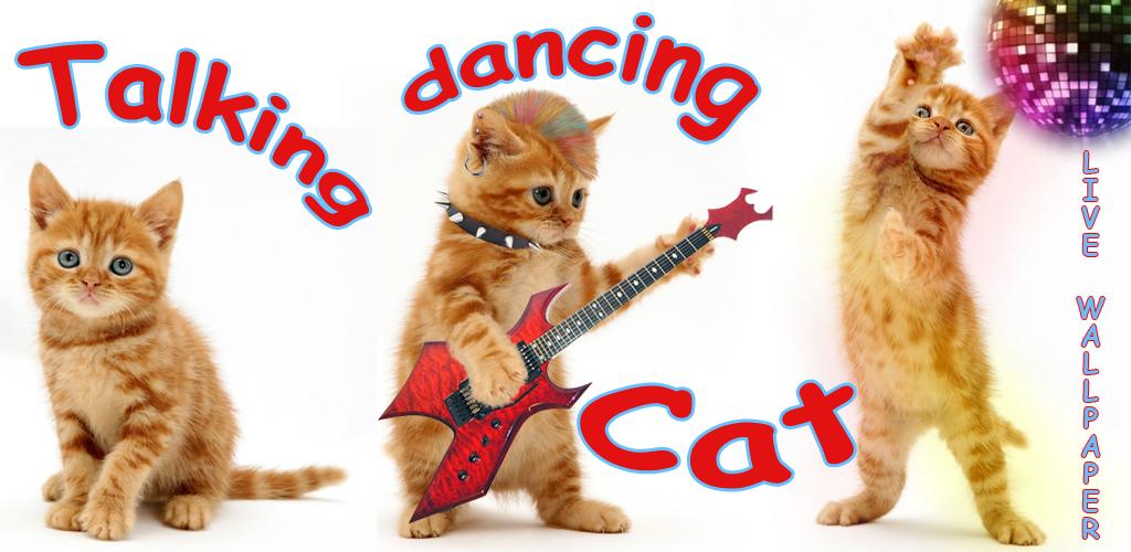 Игра dance cats