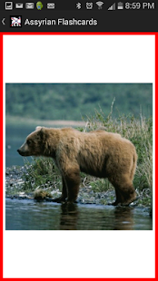 Free Assyrian Flashcards APK for Android