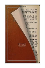 Pitcher killings poster 2