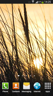 download Grass Live Wallpaper HD free