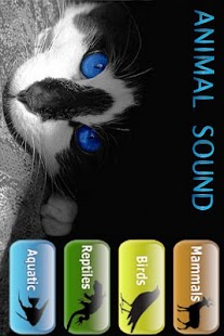 How to download Animal Sound Lite lastet apk for pc