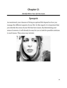 Optimal Optimization Screenshots 2