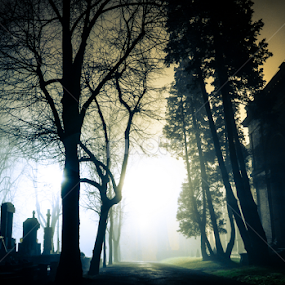 Dead Man Tell No Tales by Gospon Fulir - City,  Street & Park Night