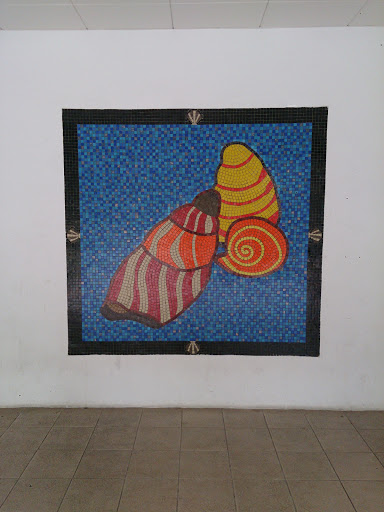 Seashells Mosaic Tiles