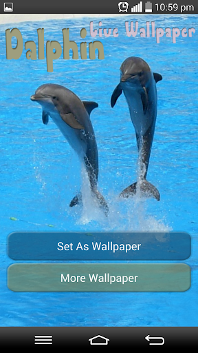 Dolphin Live Wallpaper