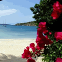 Romantic Beach LWP icon