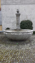 Old Fountain Wangen A. Aare