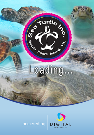 Sea Turtle Inc.