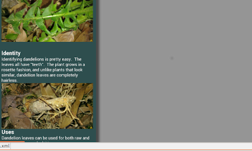 Android application Edible Wild Plant Guide screenshort