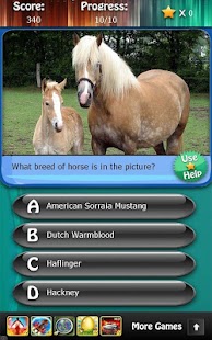 Horse Breeds & Pony Quiz HD Screenshots 3