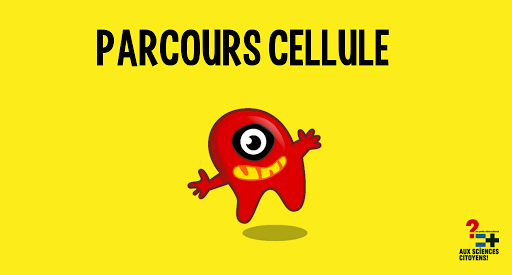 Parcours Cellule