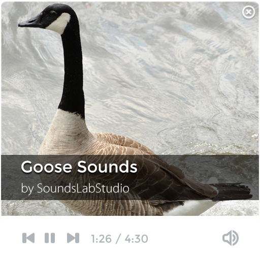 Goose Sounds 音樂 App LOGO-APP開箱王