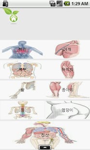 How to get 다이어트 해볼래?! 1.0 apk for laptop