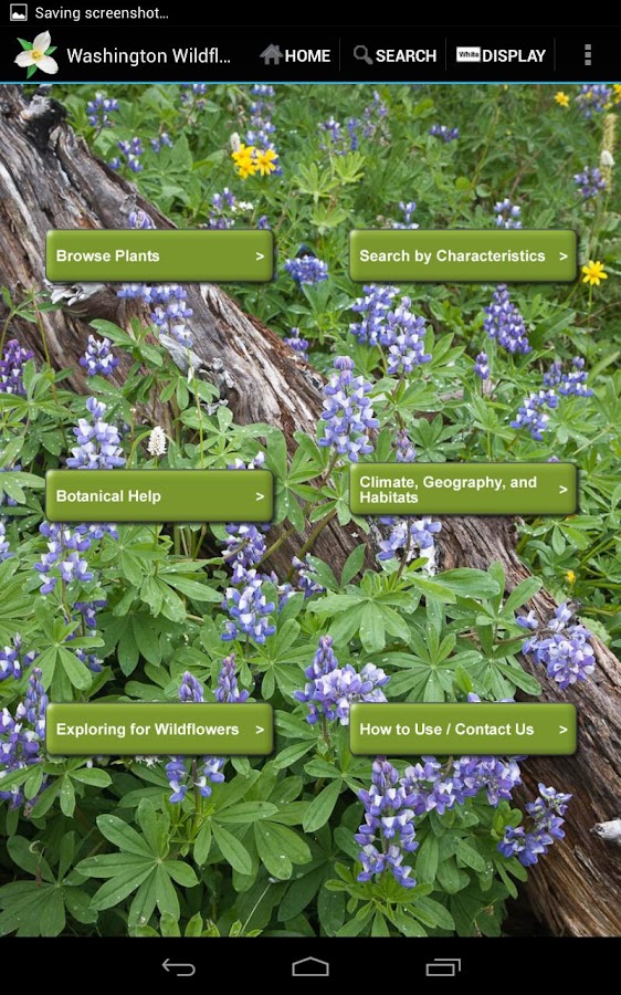 Washington Wildflowers Android Apps On Google Play
