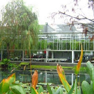 菁芳園 Tenway Garden／花園餐廳／落羽松