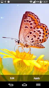 Download Butterfly Live Wallpaper APK for PC