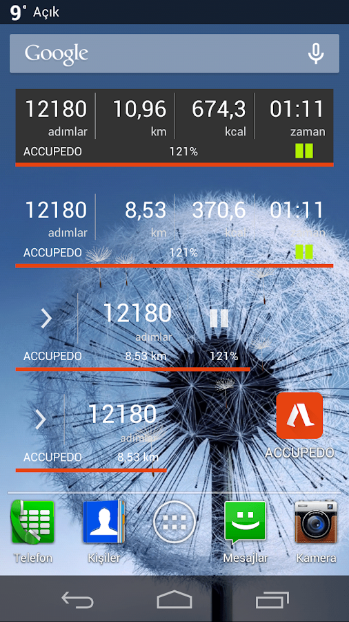 Accupedo-Pro Pedometre - screenshot
