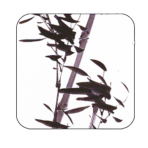bamboowind inkwash wallpaper 21.0