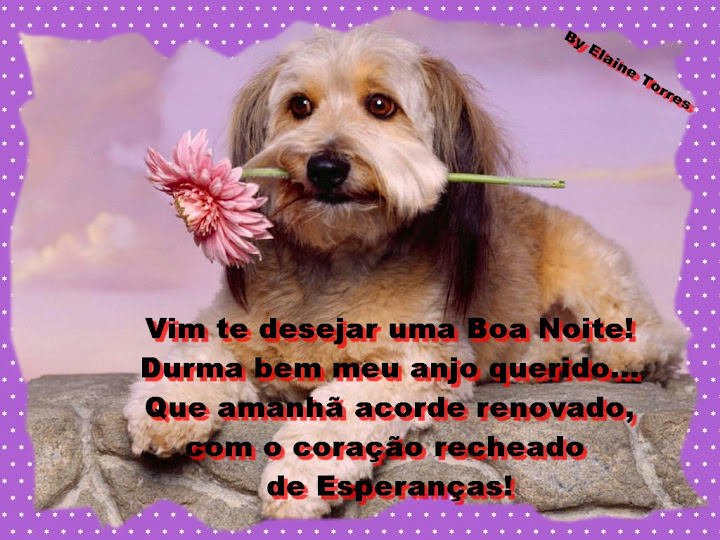 cachorro+eflor.jpg