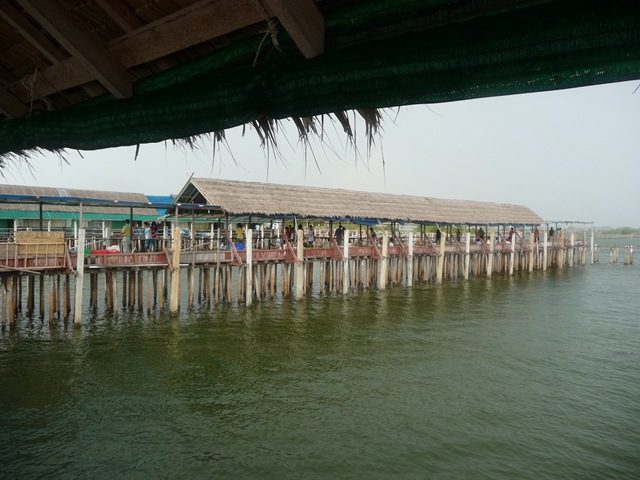 [P10207947.jpg]
