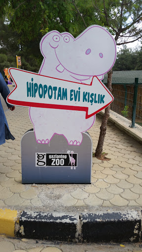 Hipopotam Evi 