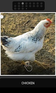 How to download Fun Farm Animal Sounds patch 1.1 apk for pc