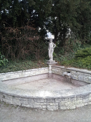 Brunnen Rosengarten Munot