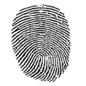 Lie Detector Polygraph icon