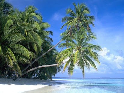 How to get Beach Wallpapers 2.0.6 mod apk for bluestacks