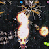 Astro Wings Gold Flower v1.0.1 APK (PAID & FULL)
