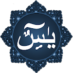 Cover Image of Download Surah Yasin 2.2 APK