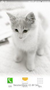 white shiny cat wallpaper Screenshots 1
