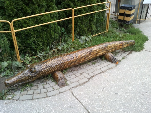 The Crocodile Bench
