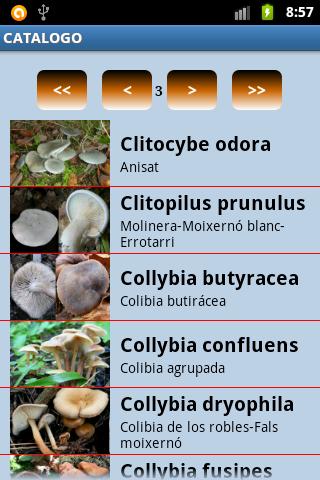 Identificación de setas