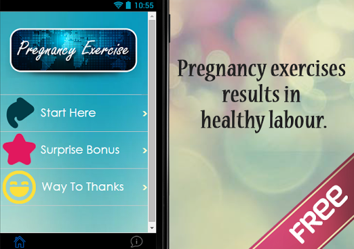 Pregnancy Exercise Guide