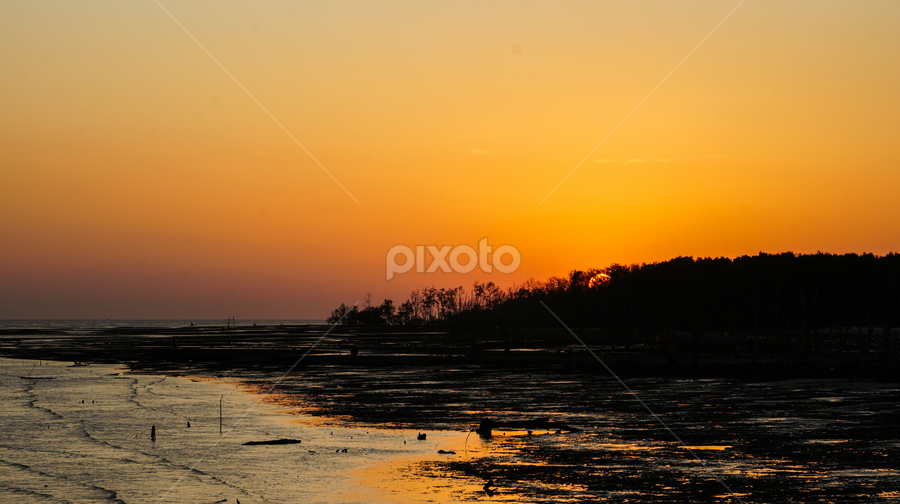 Tanjung Sepat Sunrise by Shawnn Loo - Landscapes Sunsets & Sunrises ( tanjung sepat )