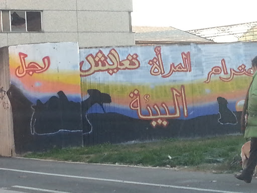 Bo Murales Arabo